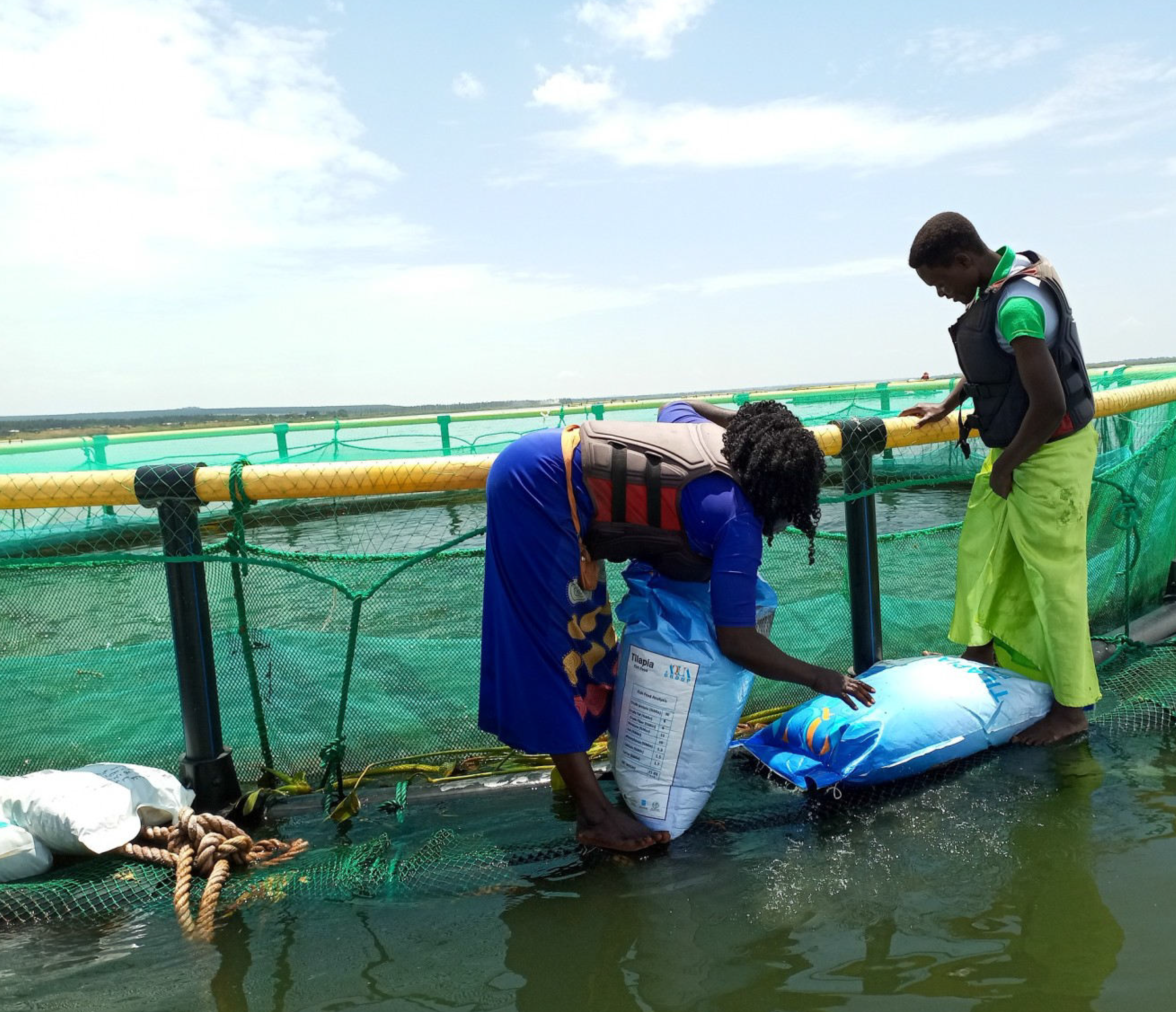 weeb about women fish rearing in bugiri