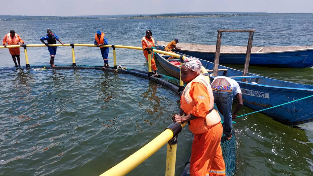 Women embrace fishing job in Bugiri   