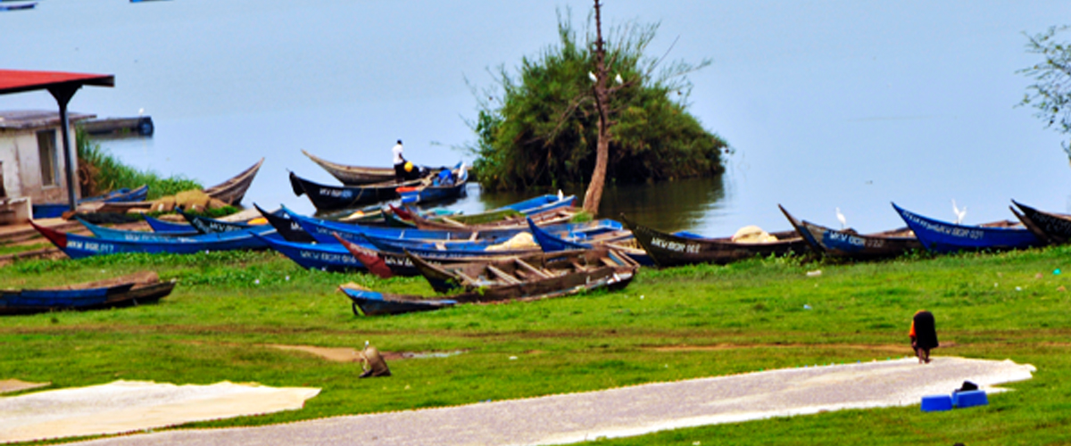 Aquaculture Business Development Programme